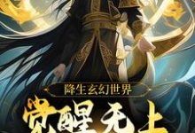 求降生玄幻世界,觉醒无上超脱系统小说免费资源-红梅文学