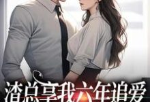 《渣总享我六年追爱还心系绿茶》叶溪完整版小说免费阅读-红梅文学