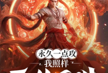完整版《永久一点攻,我照样无敌于世!》小说免费阅读-红梅文学
