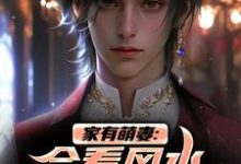 家有萌妻：会看风水还会看面相！安阳柴小月，家有萌妻：会看风水还会看面相！章节在线阅读-红梅文学