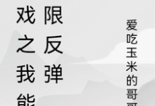 游戏之我能无限反弹小说完结版章节免费阅读-红梅文学