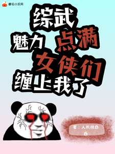 综武：魅力点满，女侠们缠上我了小说的免费电子版在哪里可以下载或阅读？