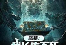 陈玄小说完整版《盗墓:我长生不死,墓主都是小辈》免费阅读-红梅文学