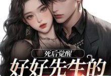 《好好先生的真实面目》小说章节在线试读，《好好先生的真实面目》最新章节目录-红梅文学