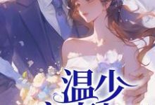 《温少宠宠妻上天》完整版小说免费阅读-红梅文学