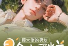 在线免费阅读顾大佬的男友是个小蛋糕完整小说-红梅文学