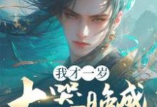 刘景完整版小说《我才一岁,大器晚成什么鬼?》免费阅读-红梅文学