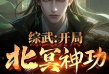 完结版《综武:开局北冥神功,获万年内力》在线免费阅读-红梅文学