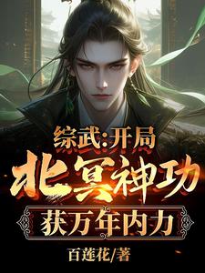 完结版《综武：开局北冥神功，获万年内力》在线免费阅读