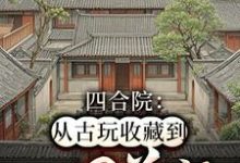 已完结小说《四合院:从古玩收藏到世界首富》在线章节阅读-红梅文学