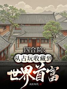 已完结小说《四合院：从古玩收藏到世界首富》在线章节阅读