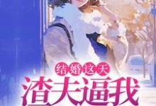 《结婚这天，渣夫逼我让出工作给青梅》全集免费在线阅读（林婉柠沈律）-红梅文学