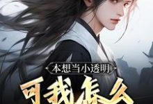 在线寻找本想当小透明,可我怎么无敌了!小说的无删减版本-红梅文学