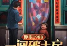 睁眼1988一间破土房俩没娘娃小说有没有完整的免费版本在线阅读?-红梅文学