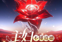 苏婉小说在线章节免费阅读(主妇不懂道德只懂法无弹窗无删减)-红梅文学