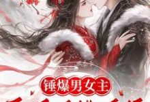 锤爆男女主:医妃手撕系统撩暴君这本小说完结了吗?免费查看最新章节-红梅文学