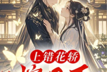 完整版《上错花轿嫁丑王》小说免费阅读-红梅文学