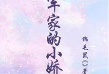 《将军家的小娇娘》小说林秀兰章节章节免费在线阅读-红梅文学
