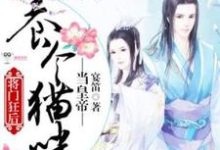 小说《将门狂后:养个猫咪当皇帝》完整版在线章节免费阅读-红梅文学