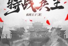 王海涛小说完结版在线阅读,抗战之特战兵王免费看-红梅文学