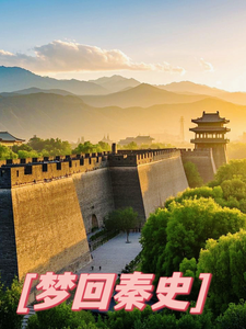 梦回秦史小说的无弹窗阅读体验，寻找免费阅读网站