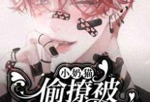 小奶猫偷撩被影帝盯上了完整版小说,小奶猫偷撩被影帝盯上了免费阅读-红梅文学
