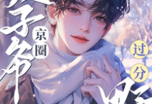 望星河陆景泽小说免费阅读完整版-红梅文学