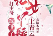 打主母,踩世子,恶女丫鬟上青云小说有没有完整的免费版本在线阅读?-红梅文学