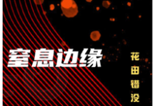 在线免费阅读窒息边缘完整小说-红梅文学