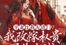 平妻比我先进门?我改嫁权贵冠绝京城免费阅读,平妻比我先进门?我改嫁权贵冠绝京城章节在线阅读-红梅文学