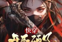 《快穿:开局砸了丞相的七星灯》林夕诸葛亮小说免费阅读完整版-红梅文学