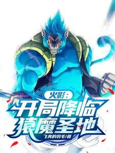 火影：开局降临猿魔圣地免费阅读，火影：开局降临猿魔圣地袁皓