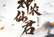 神农仙君江澈苏青檀,神农仙君章节在线阅读-红梅文学