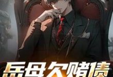 完结版《岳母欠赌债要被砍手？跟我没关系哈》章节目录在线阅读-红梅文学