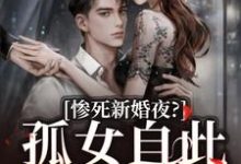 已完结小说《惨死新婚夜？孤女自此逆天改命》在线章节阅读-红梅文学