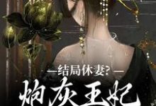 结局休妻?炮灰王妃她力挽狂澜这本小说在哪里可以看?哪里有免费试读章节?-红梅文学