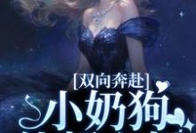 哪里可以免费找到双向奔赴,小奶狗他超心机?-红梅文学
