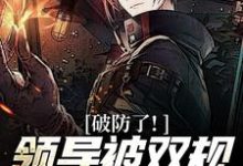 小说《破防了！领导被双规，女友背叛我！》在线章节阅读-红梅文学