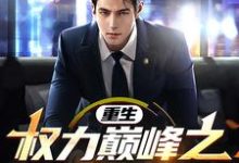 重生：权力巅峰之官场风云！小说的最新章节在哪里更新？免费追踪阅读-红梅文学