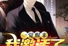 免费看一觉醒来,我激活了祝由术小说的网站有哪些?-红梅文学