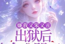 萧潇完整版《嫌我又笨又丑，出狱后全家哭死！》小说免费阅读-红梅文学