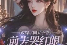 寻找能够免费阅读改嫁京圈太子爷,前夫哭红眼求我别嫁小说的平台-红梅文学