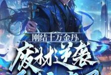楚云小说在线章节免费阅读(刚结十万金丹,废材逆袭系统来了无弹窗无删减)-红梅文学