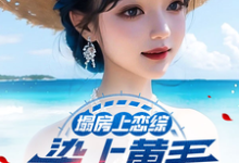 陆野完整版小说免费阅读-红梅文学