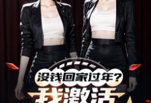 陈东林雨桐小说没钱回家过年?我激活0元购系统章节免费阅读-红梅文学