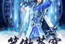 已完结小说《笑傲苍穹》章节免费阅读-红梅文学