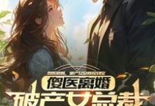 傻医离婚,破产女总裁捡到宝小说全文哪里可以免费看?-红梅文学