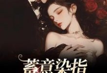 《蓄意染指:大佬病态缠欢》小说大结局免费试读 沈行川桑妩小说-红梅文学