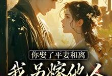 已完结小说《你娶了平妻和离,我另嫁他人拦什么》章节免费阅读-红梅文学