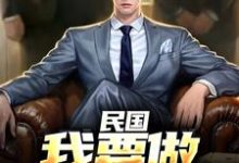 《民国：我要做乱世枭雄》全集免费在线阅读（唐枭）-红梅文学